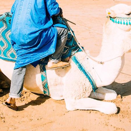 Oasis Luxury Camp Hotell Merzouga Eksteriør bilde