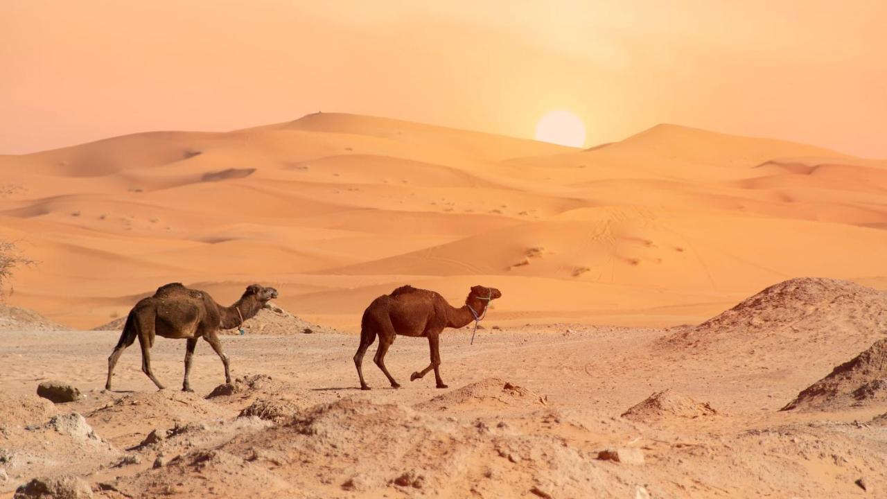 Oasis Luxury Camp Hotell Merzouga Eksteriør bilde